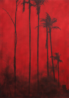 Douglas Mandry
